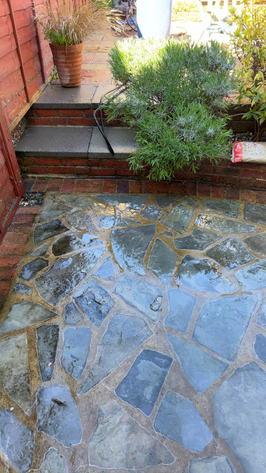 Cleaned crazy paving path